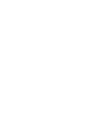 Arabian Cart